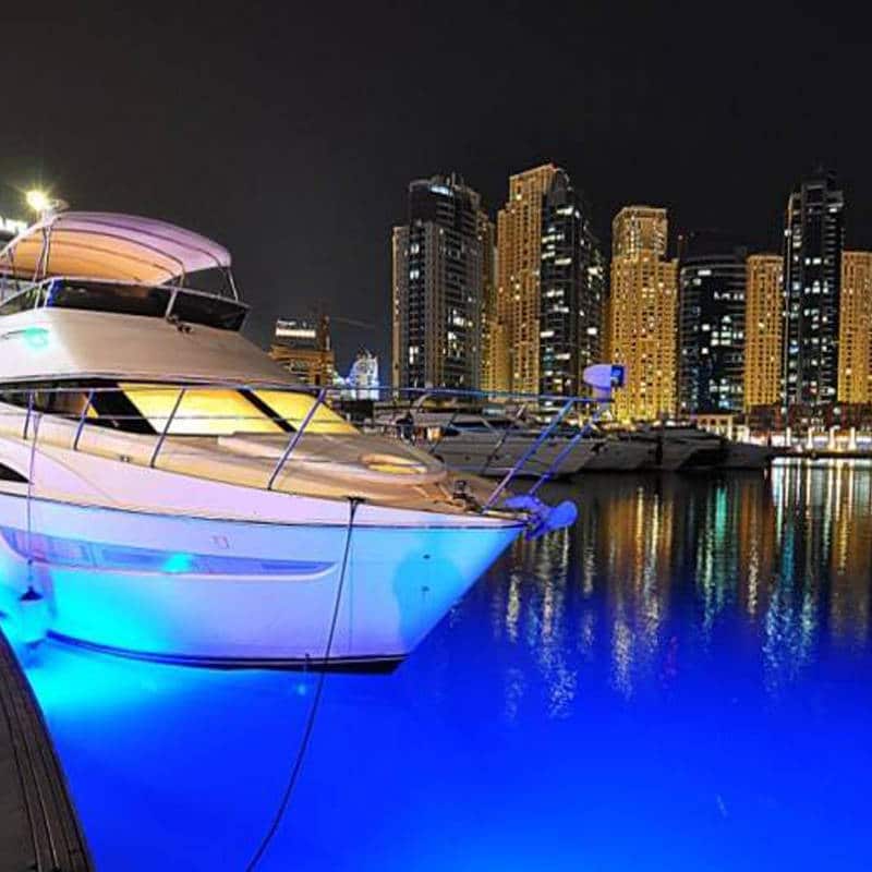 LED Sea-Vue™ Dock Light - Image 4