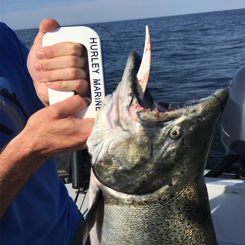 Fish Gill Gaff - Fish Hurley Marine - Image 4